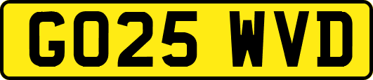 GO25WVD