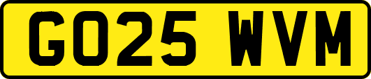 GO25WVM