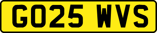 GO25WVS