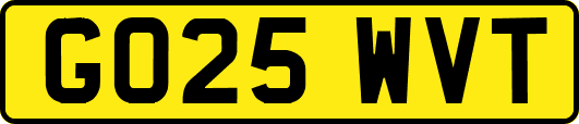 GO25WVT