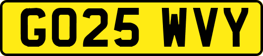 GO25WVY