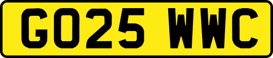 GO25WWC