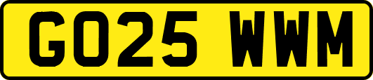 GO25WWM