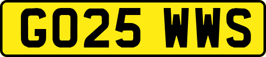 GO25WWS
