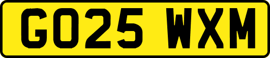 GO25WXM