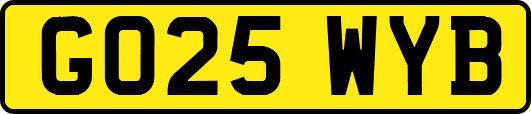 GO25WYB