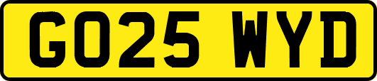 GO25WYD
