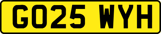 GO25WYH