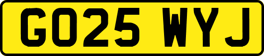 GO25WYJ