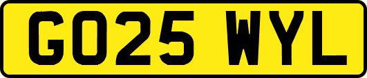 GO25WYL
