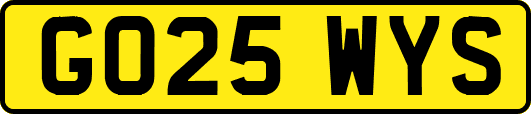 GO25WYS