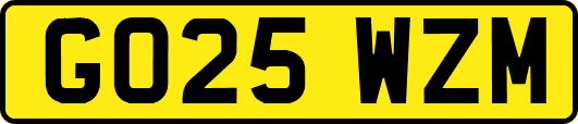 GO25WZM