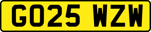 GO25WZW