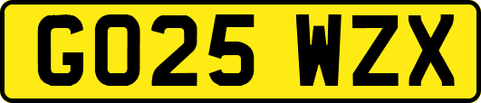 GO25WZX