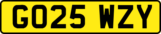 GO25WZY