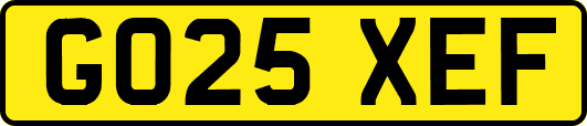 GO25XEF
