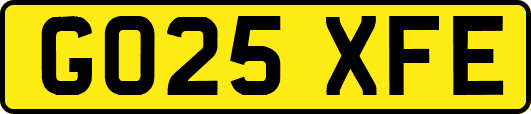 GO25XFE