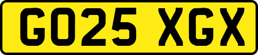 GO25XGX
