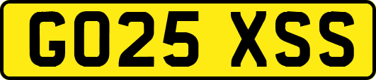 GO25XSS