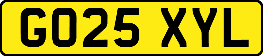 GO25XYL
