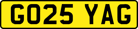 GO25YAG