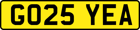GO25YEA
