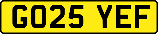 GO25YEF