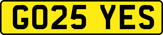 GO25YES