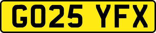 GO25YFX