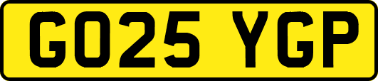 GO25YGP