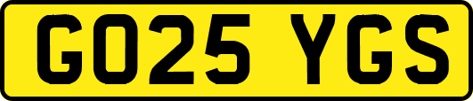 GO25YGS