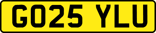 GO25YLU
