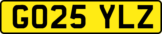 GO25YLZ