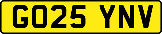 GO25YNV