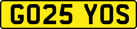 GO25YOS