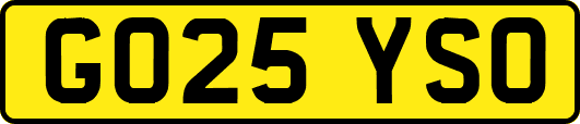 GO25YSO