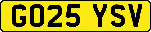 GO25YSV