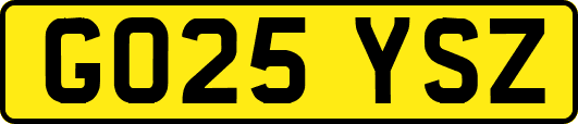 GO25YSZ