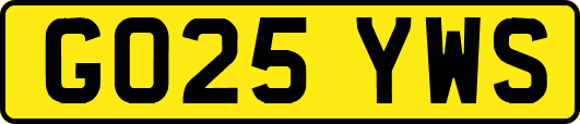 GO25YWS