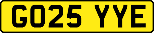 GO25YYE