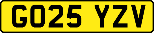 GO25YZV
