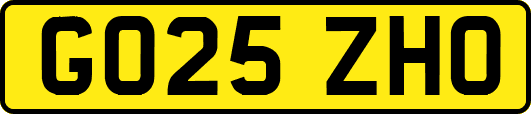 GO25ZHO
