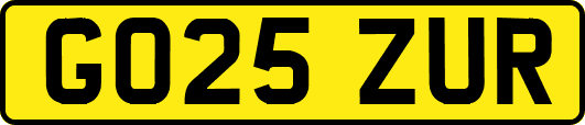 GO25ZUR