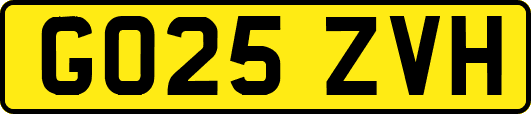 GO25ZVH