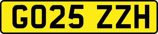 GO25ZZH