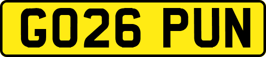 GO26PUN