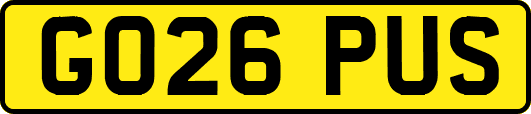 GO26PUS