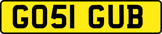 GO51GUB