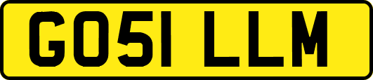 GO51LLM