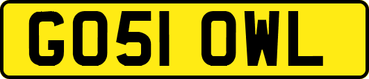 GO51OWL